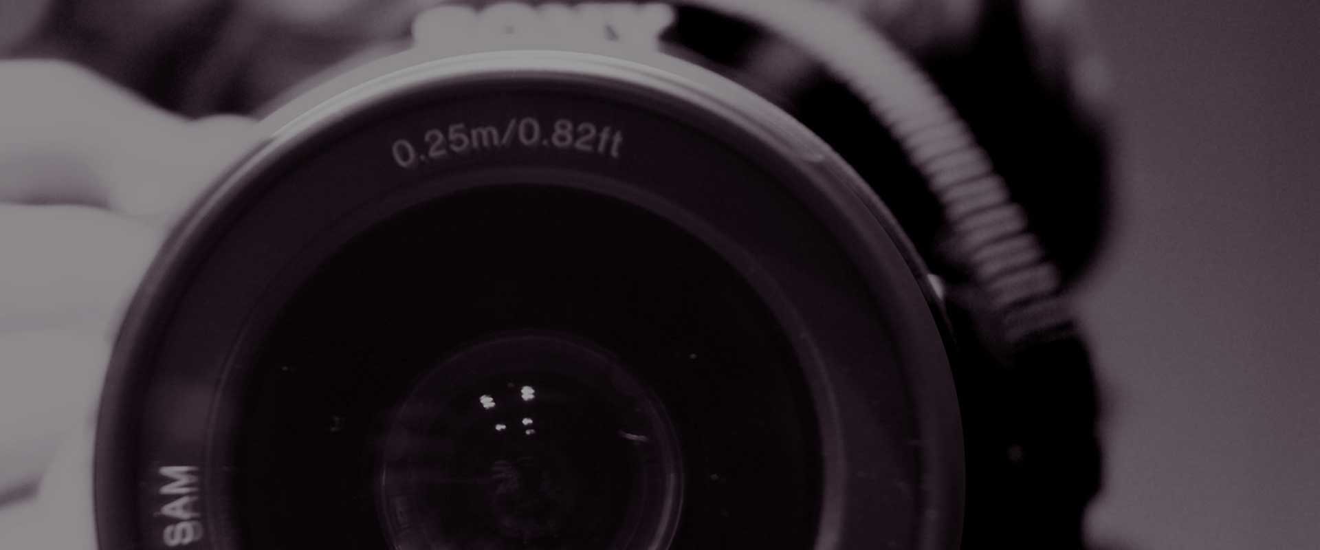 Investigación particular